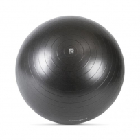 Мяч гимнастический FITNESSPORT FT-GB-65 черный
