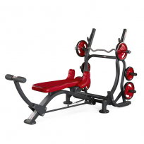 Силовой тренажер PANNATA Freeweight High Performance TRICEPS BENCH 1HP214