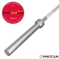 Гриф олимпийский тренировочный PANGOLIN FITNESS Standart Plus BC102-600 2200 мм