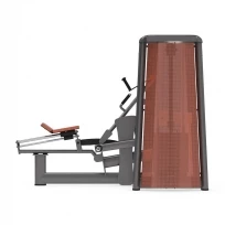 Горизонтальная тяга GYM80 Sygnum Innovation Rower 5003